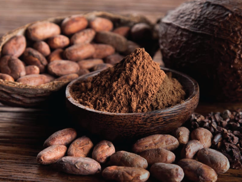 bột ca cao đăk lăk