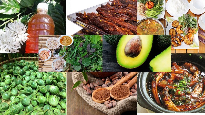 đặc sản đắk lắk