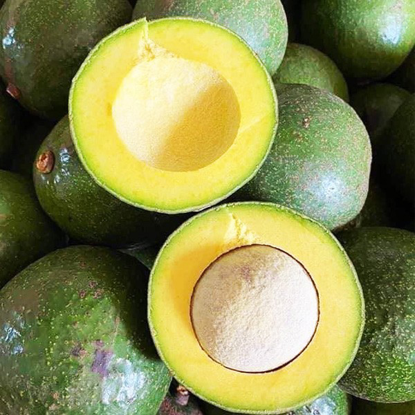 Bơ Booth Đắk Lắk