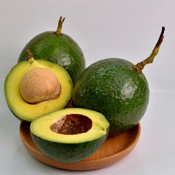 Bơ Booth Đắk Lắk