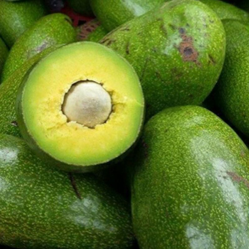 Bơ Sáp Đắk Lắk