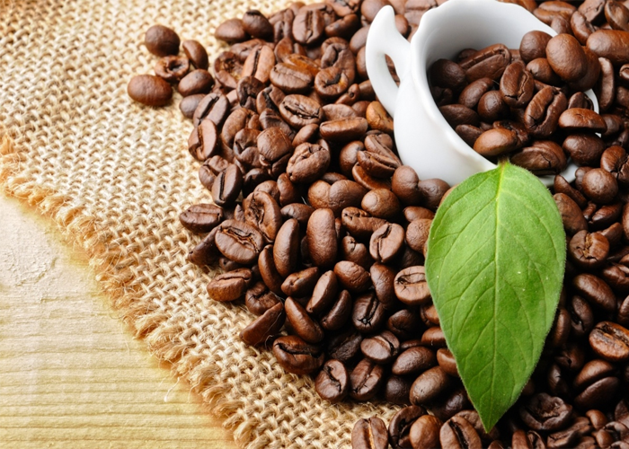 Cà phê nguyên chất Daklak vì sao nổi tiếng? - Bạn có Biết?