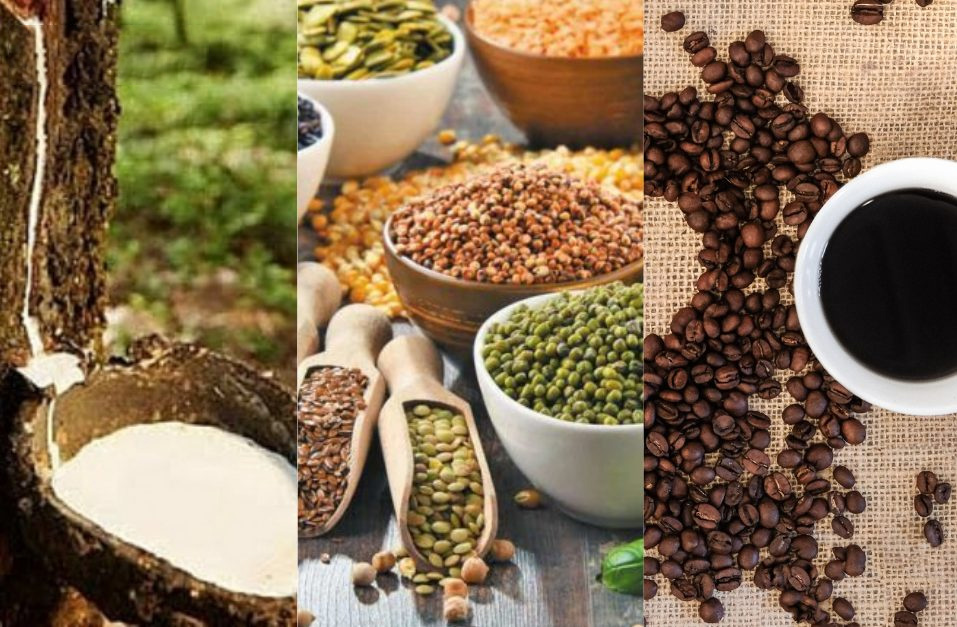 Nông Sản Đắk Lắk