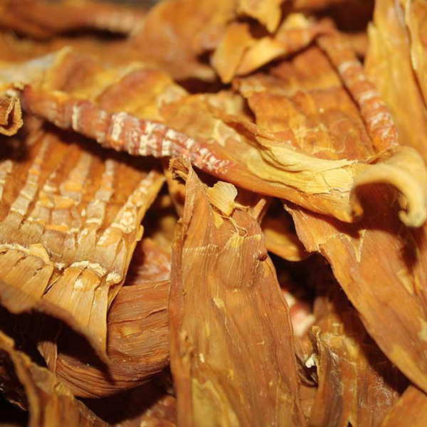 Măng le Đắk Lắk