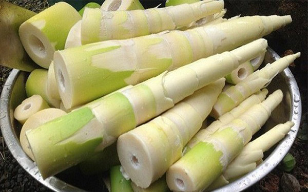 Măng le Đắk Lắk