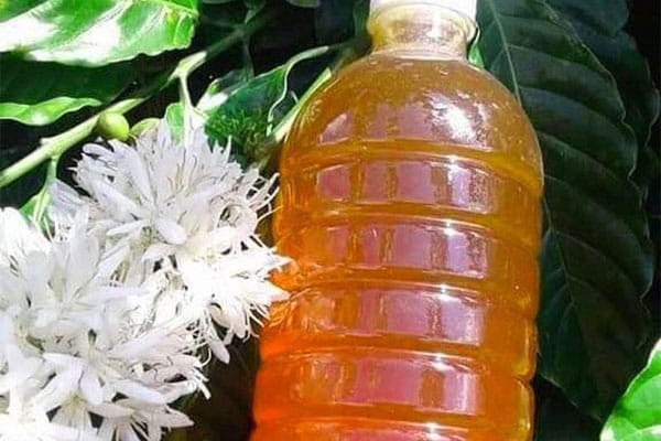 Mật ong Đắk Lắk