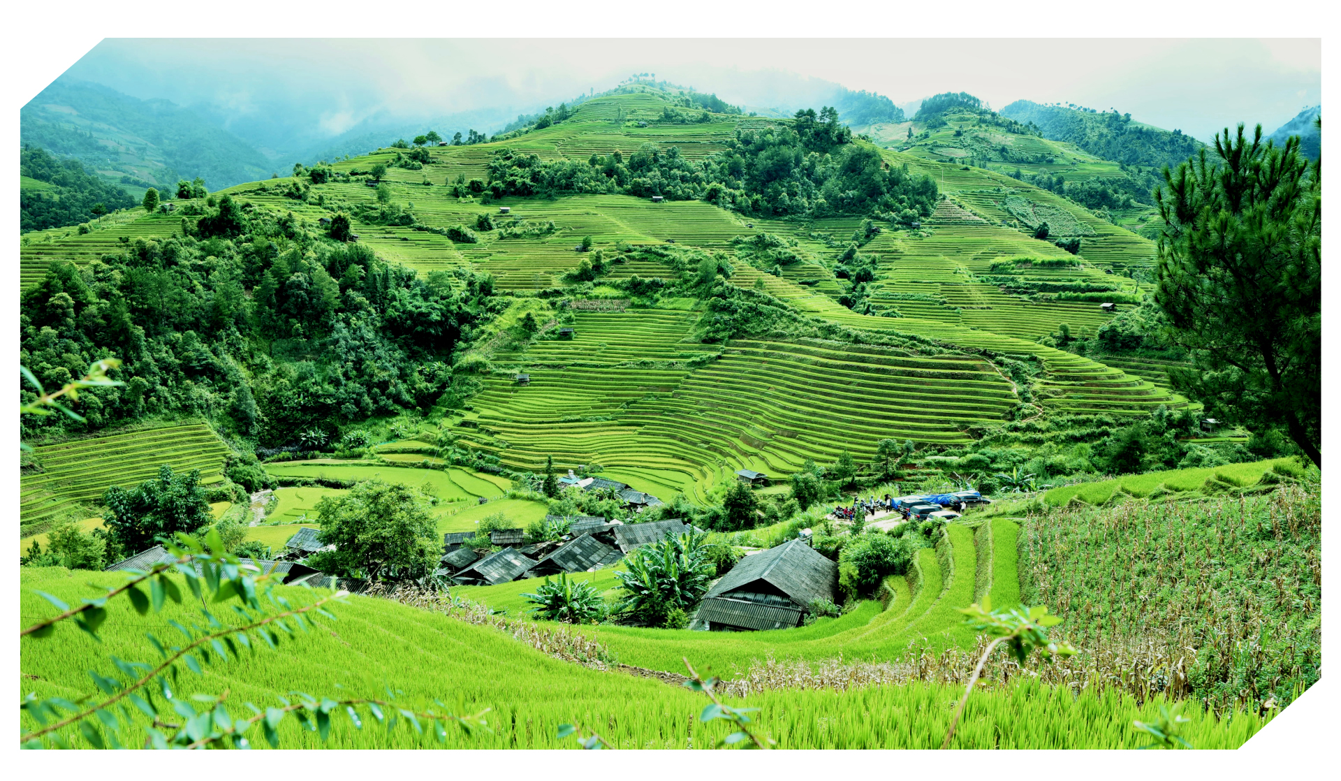 Giá trị xanh, bền vững không còn là xu hướng. Giảm phát thải, tối ưu hóa quy trình sản xuất, hạn chế tác động tiêu cực đến môi trường… không còn là khẩu hiệu, hay khuyến nghị cho tương lai, mà đã hiện diện trong mọi hoạt động của sản xuất, sinh hoạt hằng ngày.