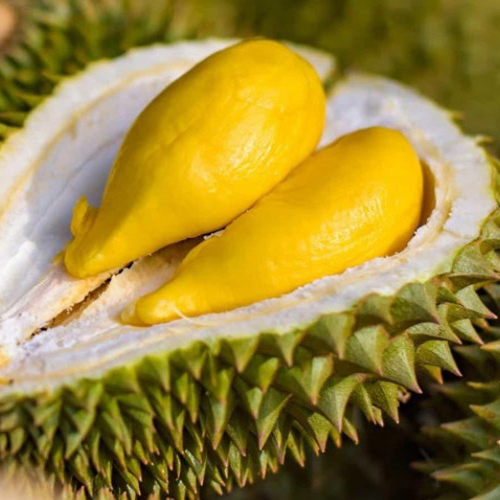 Sầu riêng Đắk Lắk